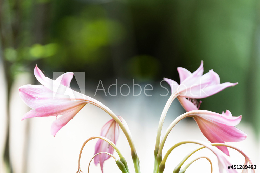 Photography by L Tyrrell