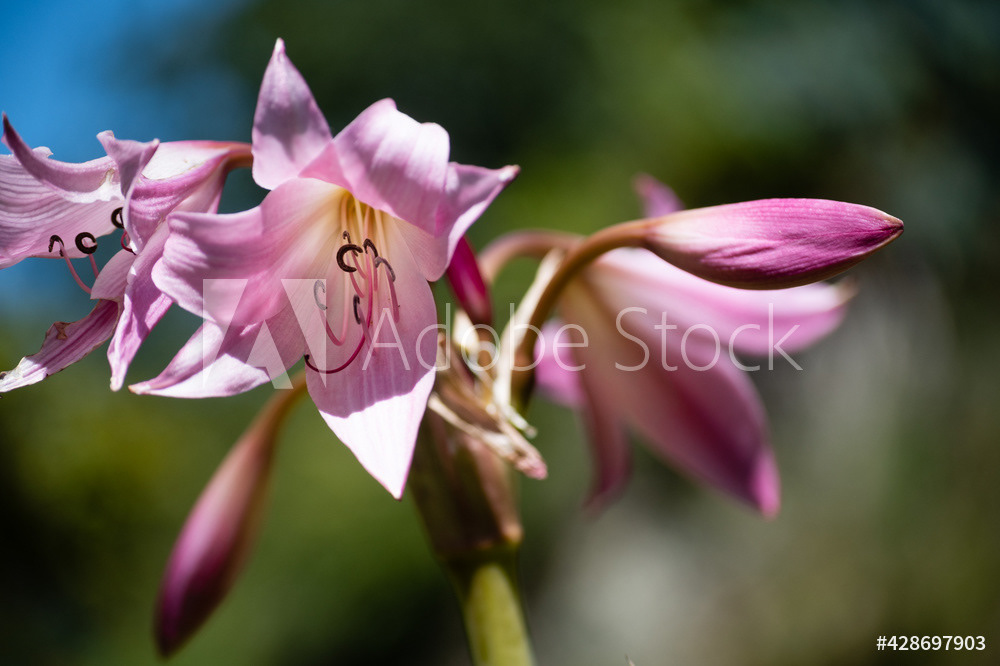 Photography by L Tyrrell