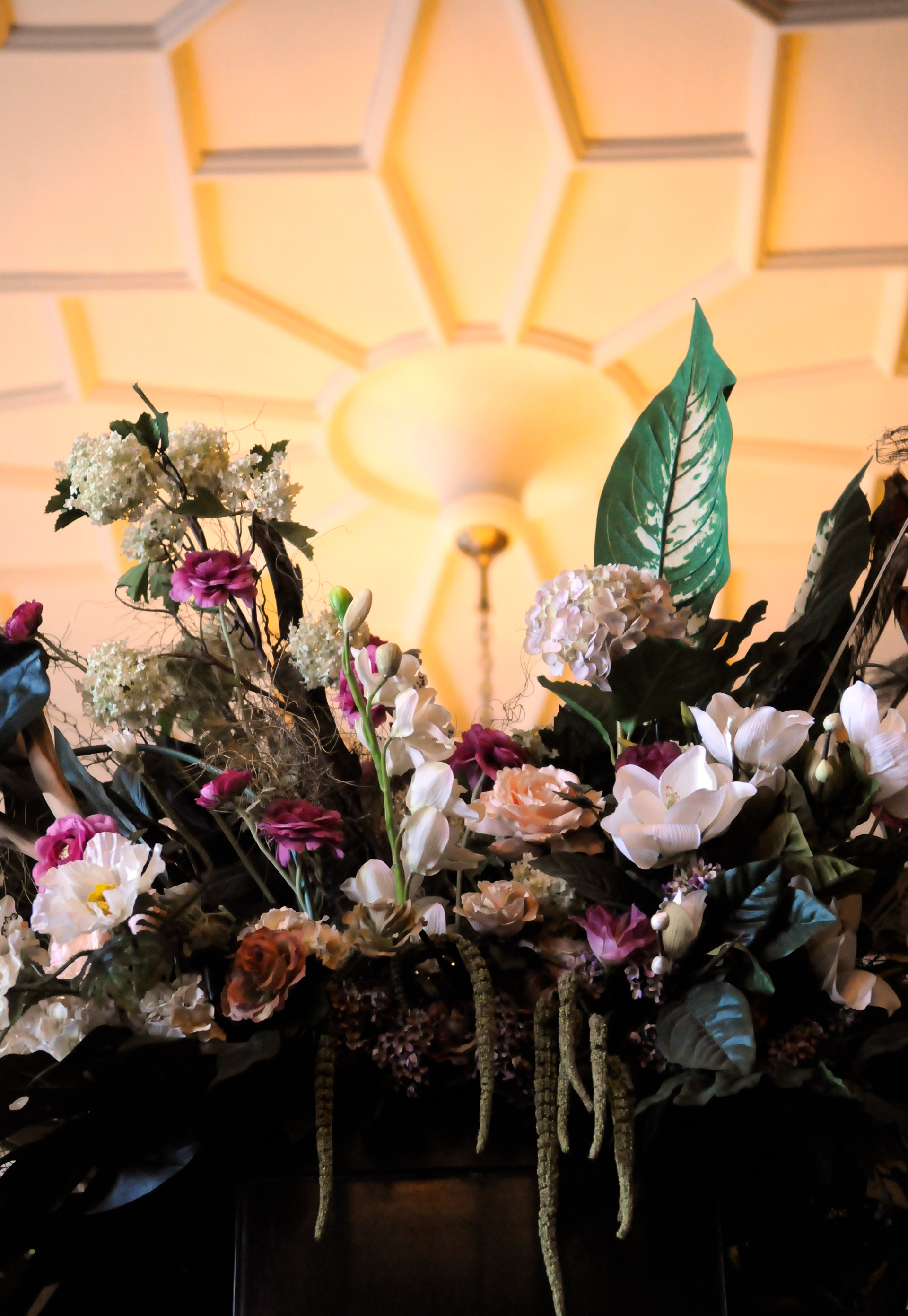 Photography by L Tyrrell - , Senate Office, Parliament of Canada