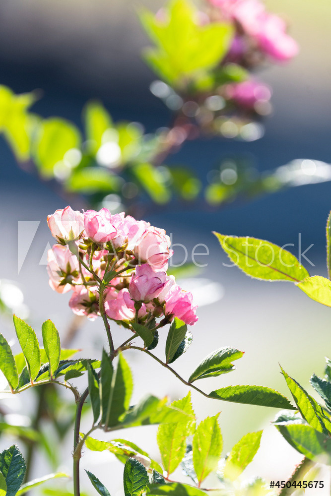 Photography by L Tyrrell