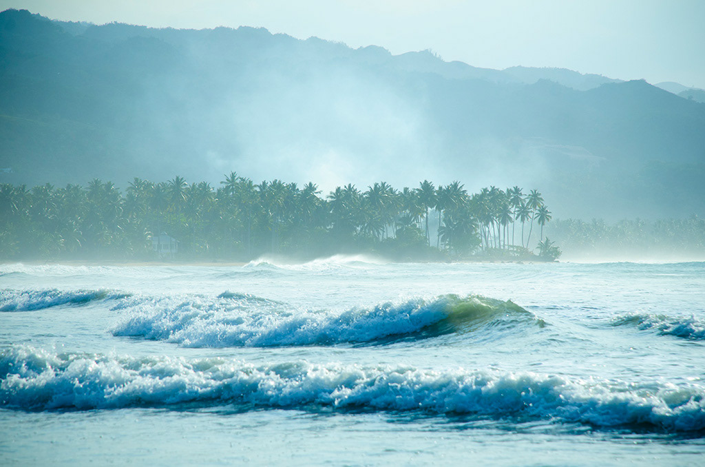 Photography by L Tyrrell