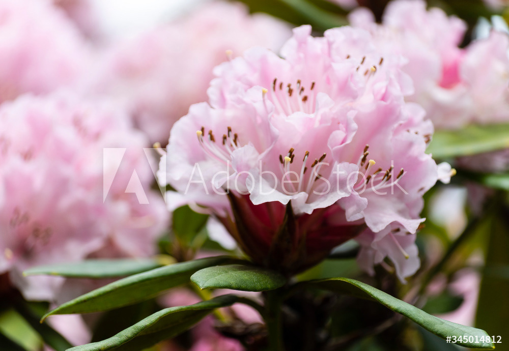 Photography by L Tyrrell