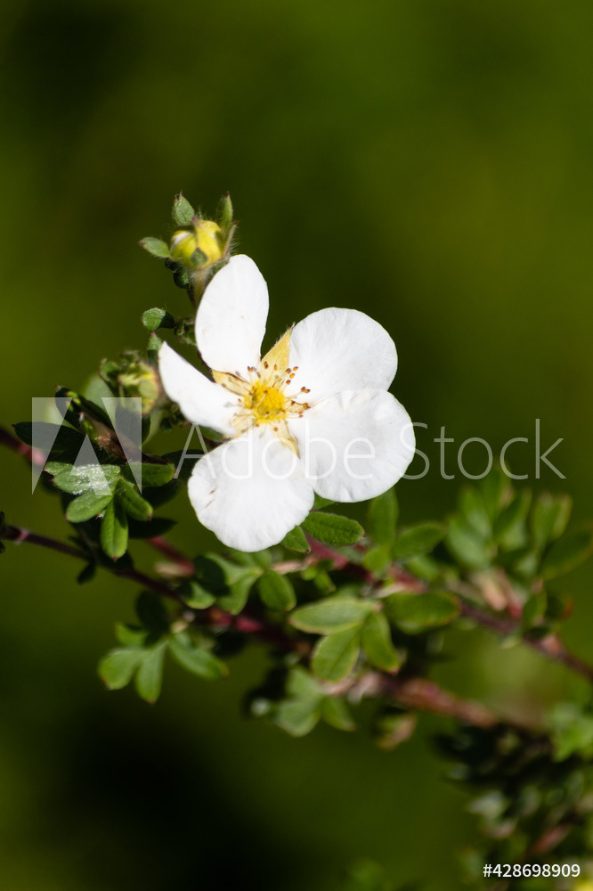 Photography by L Tyrrell