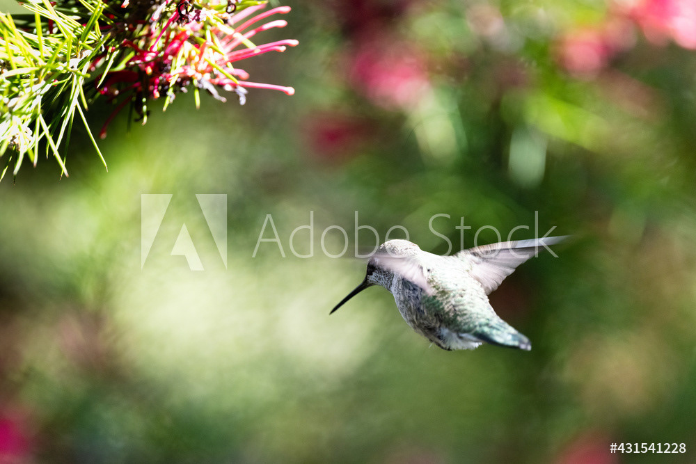 Photography by L Tyrrell