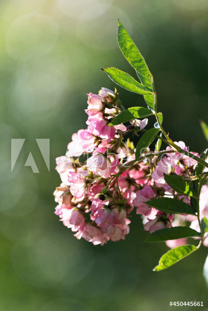 Photography by L Tyrrell