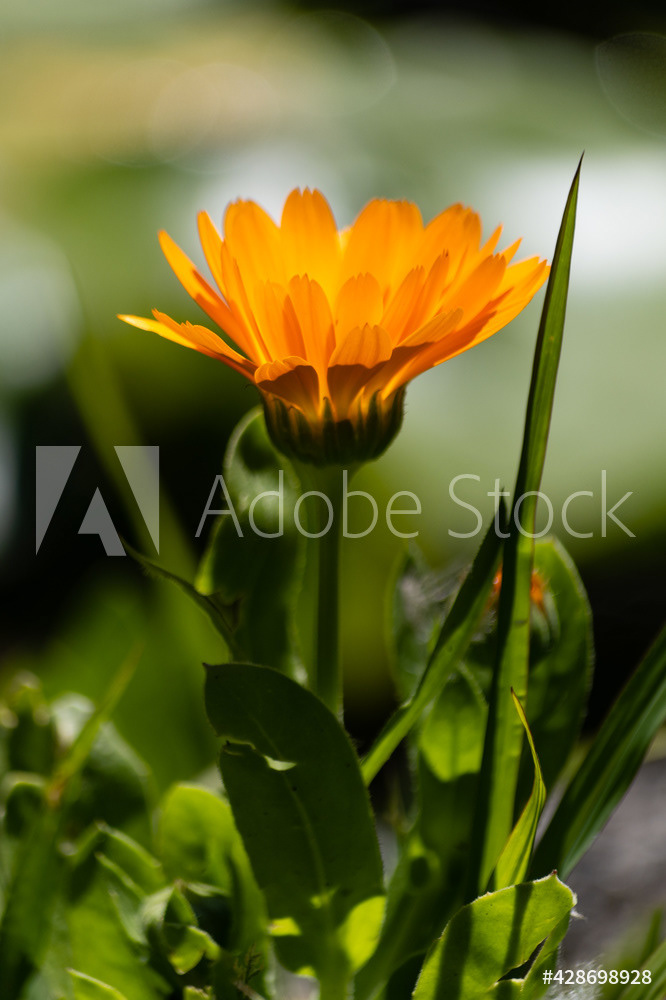 Photography by L Tyrrell