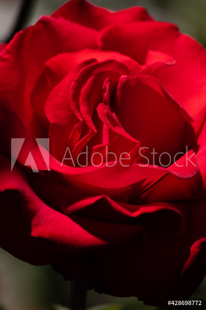 Photography by L Tyrrell