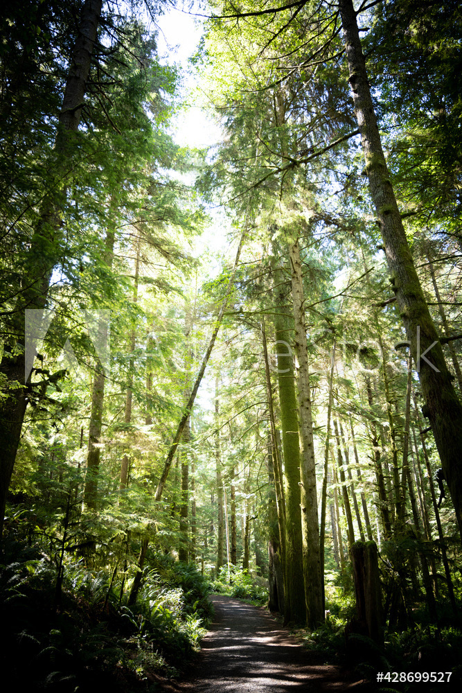 Photography by L Tyrrell