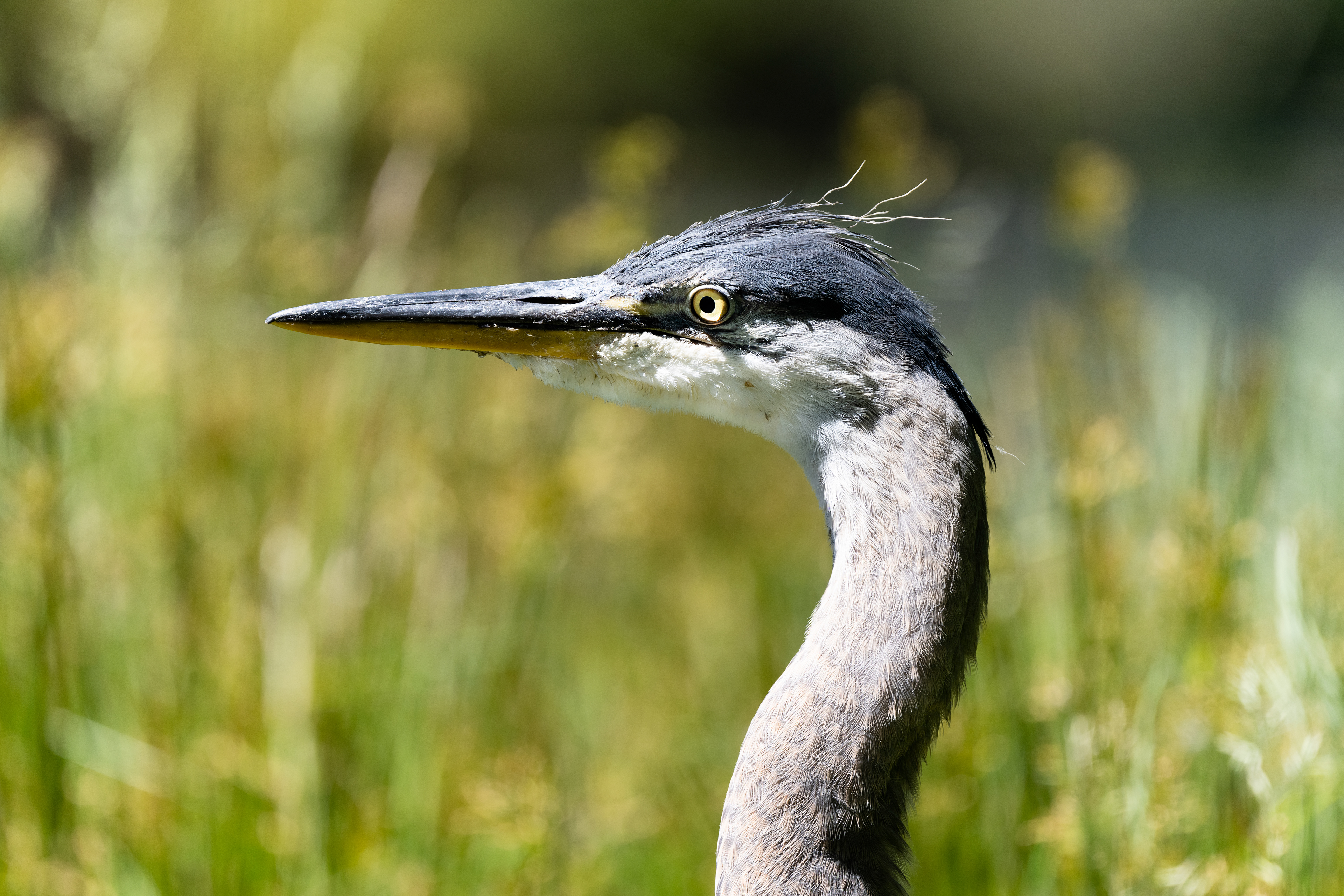 Photography by L Tyrrell