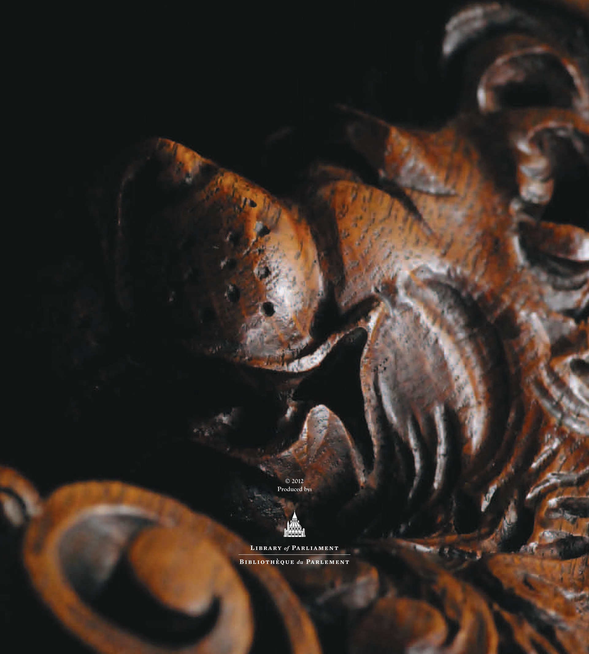 Photography by L Tyrrell