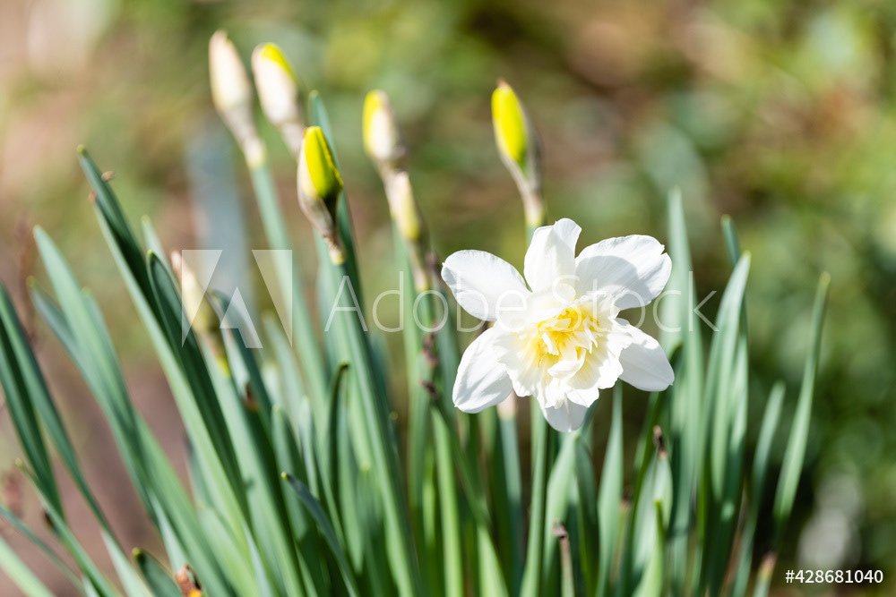 Photography by L Tyrrell