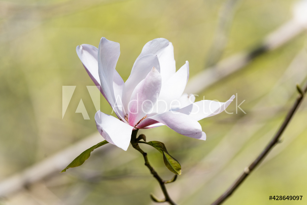 Photography by L Tyrrell