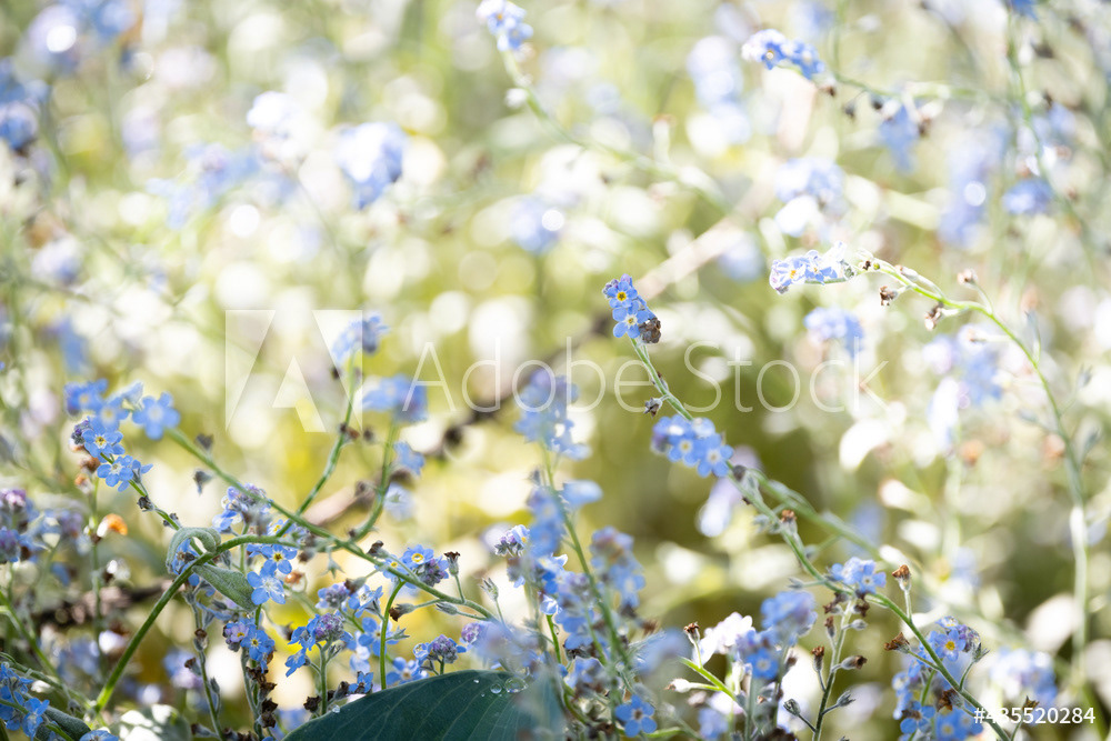 Photography by L Tyrrell