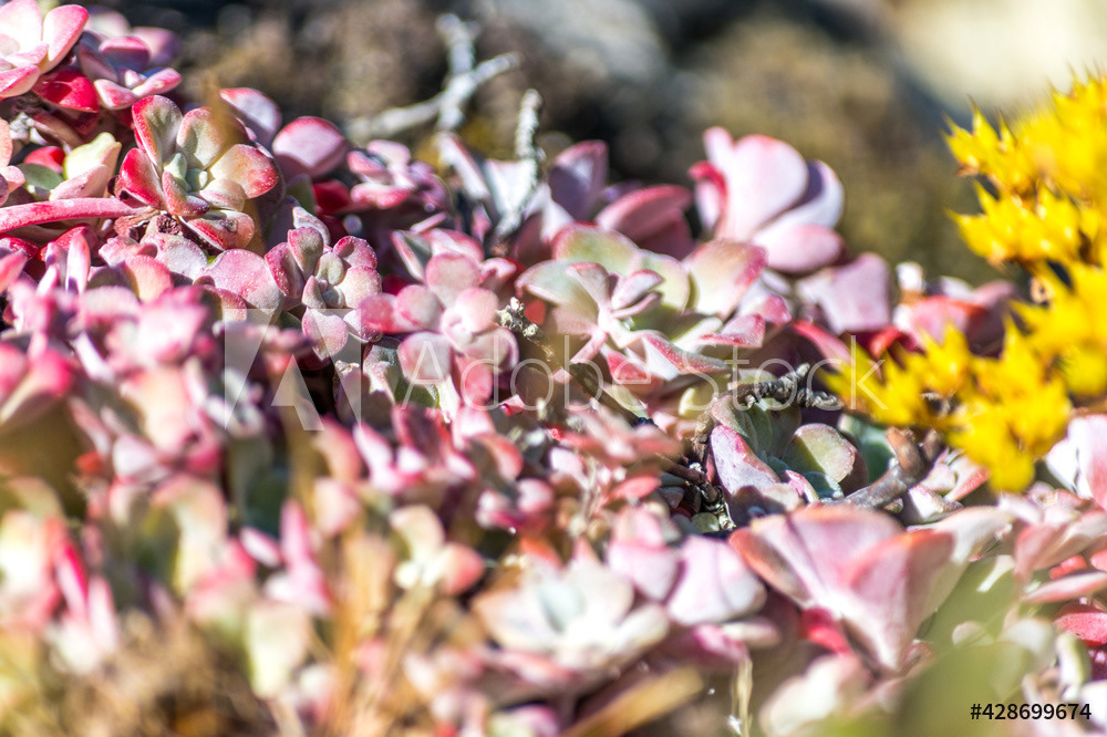 Photography by L Tyrrell