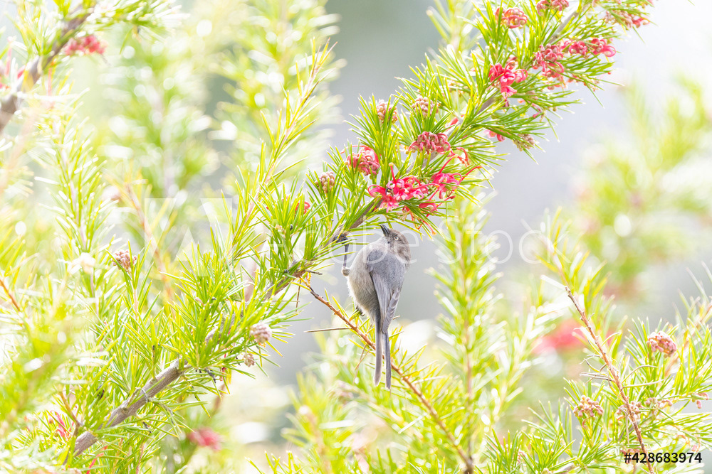 Photography by L Tyrrell