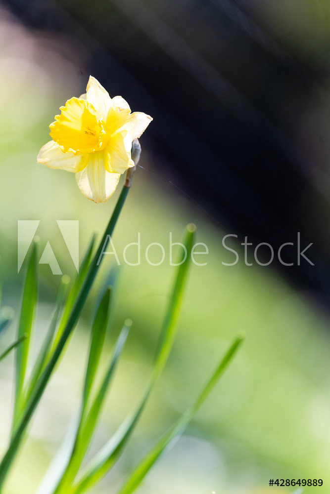 Photography by L Tyrrell