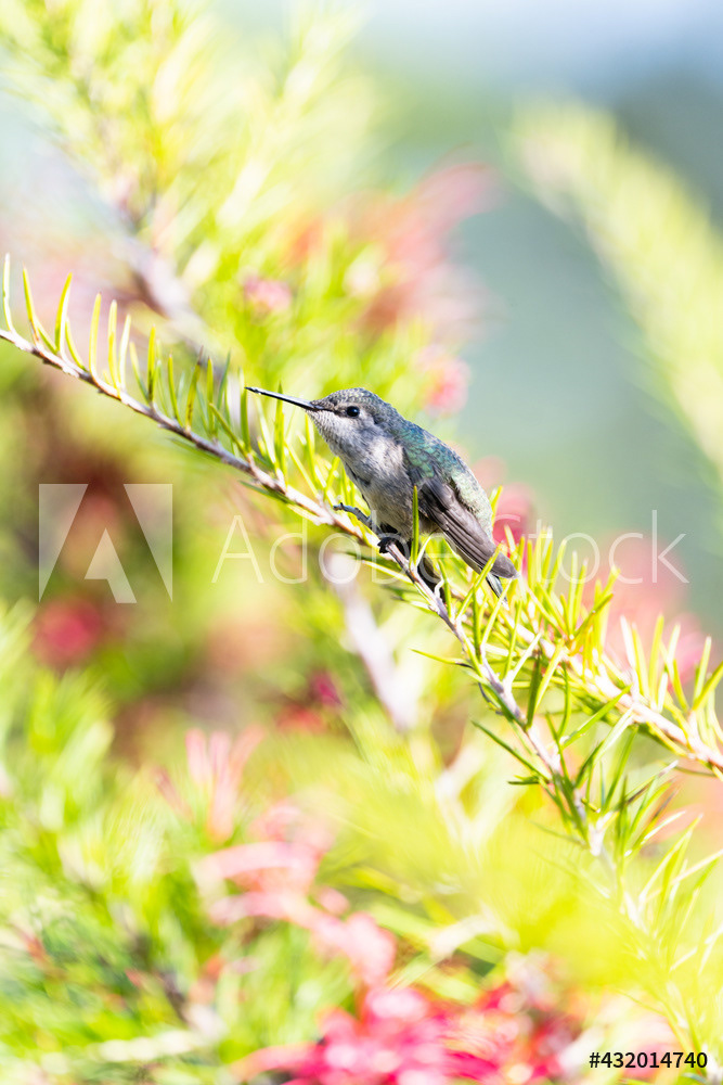 Photography by L Tyrrell