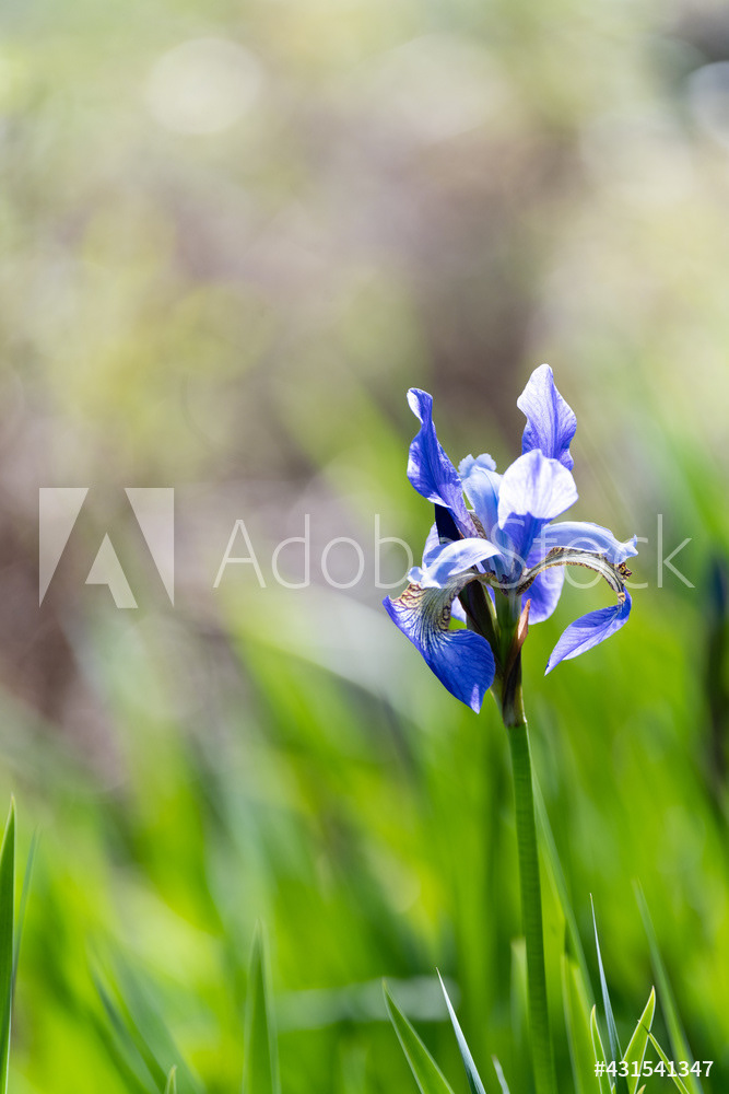 Photography by L Tyrrell