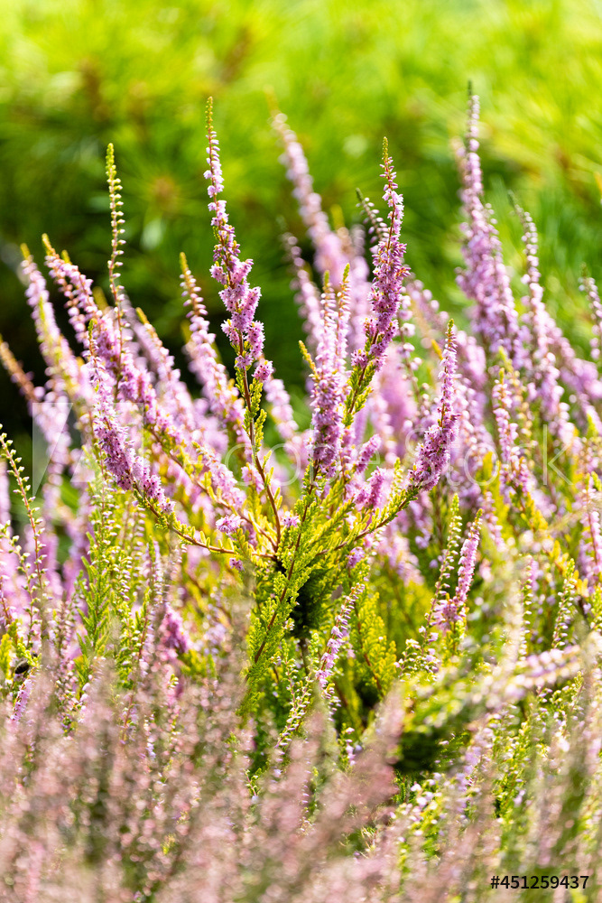 Photography by L Tyrrell