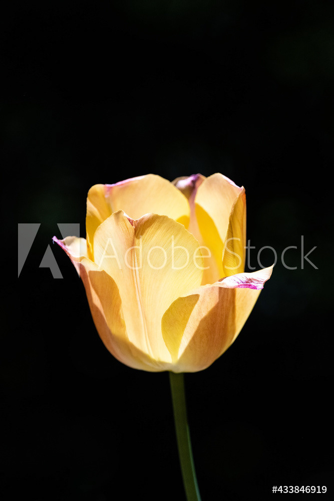 Photography by L Tyrrell