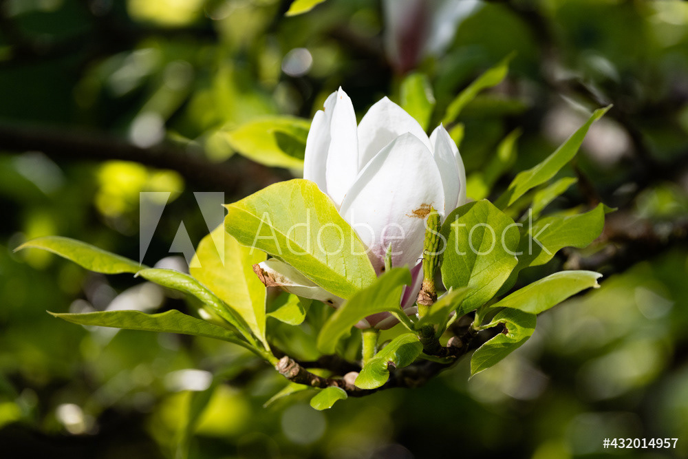 Photography by L Tyrrell