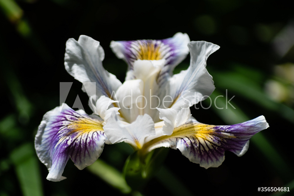 Photography by L Tyrrell