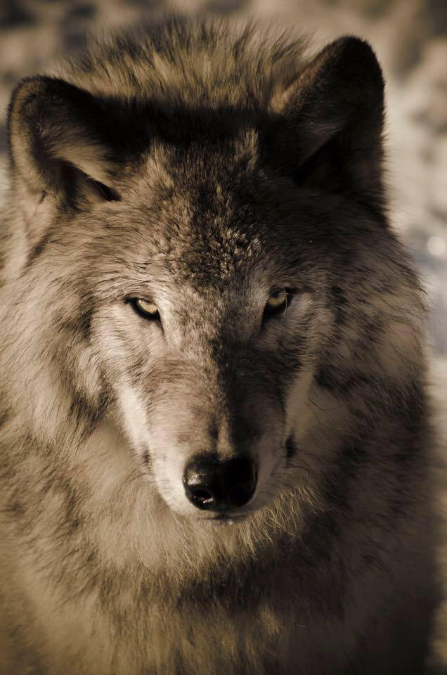 Photography by L Tyrrell