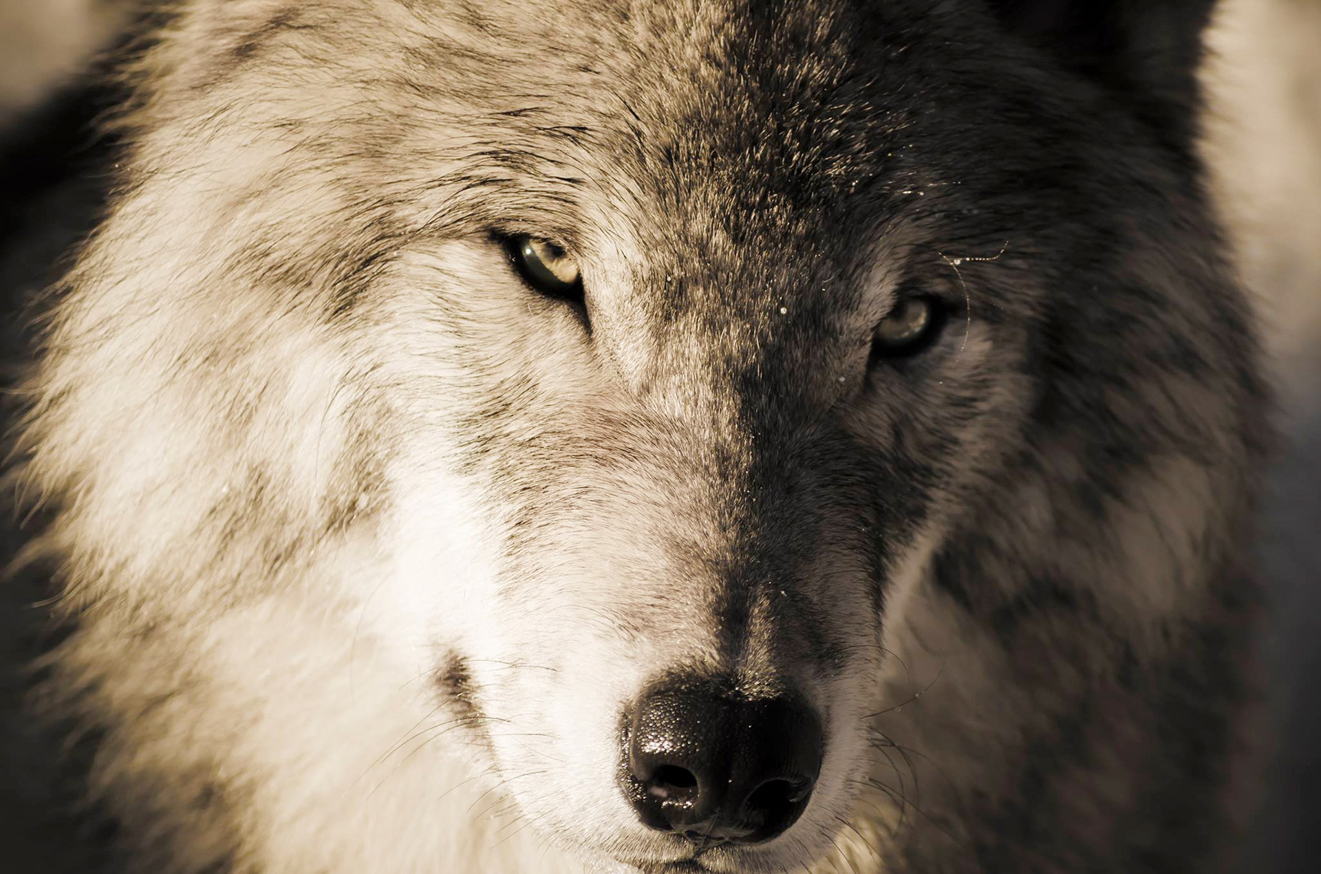 Photography by L Tyrrell