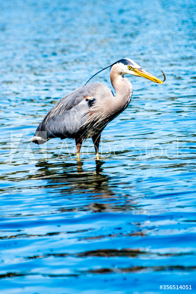 Photography by L Tyrrell