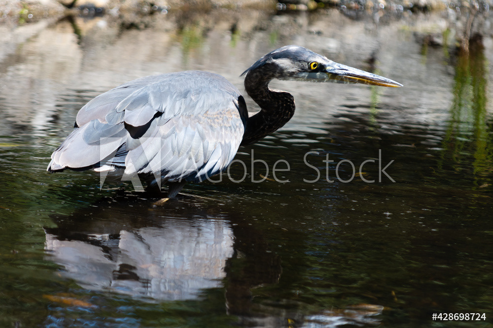 Photography by L Tyrrell