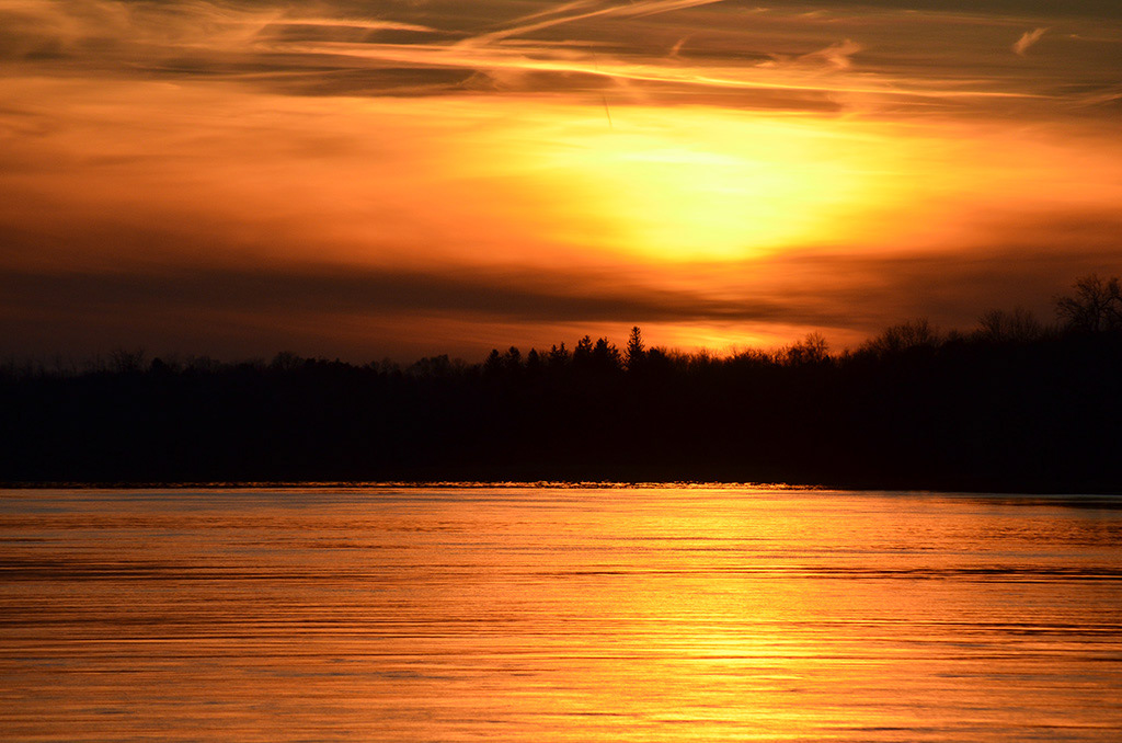 Photography by L Tyrrell