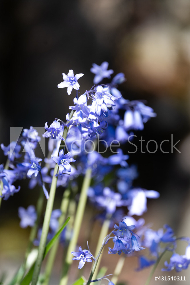 Photography by L Tyrrell