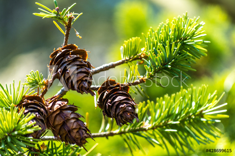 Photography by L Tyrrell