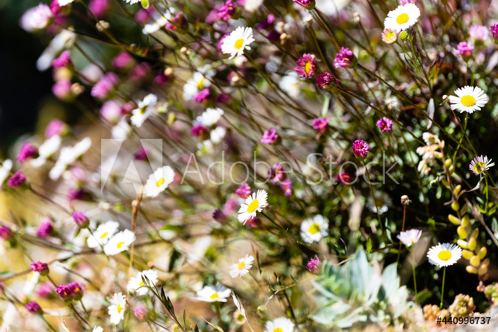 Photography by L Tyrrell