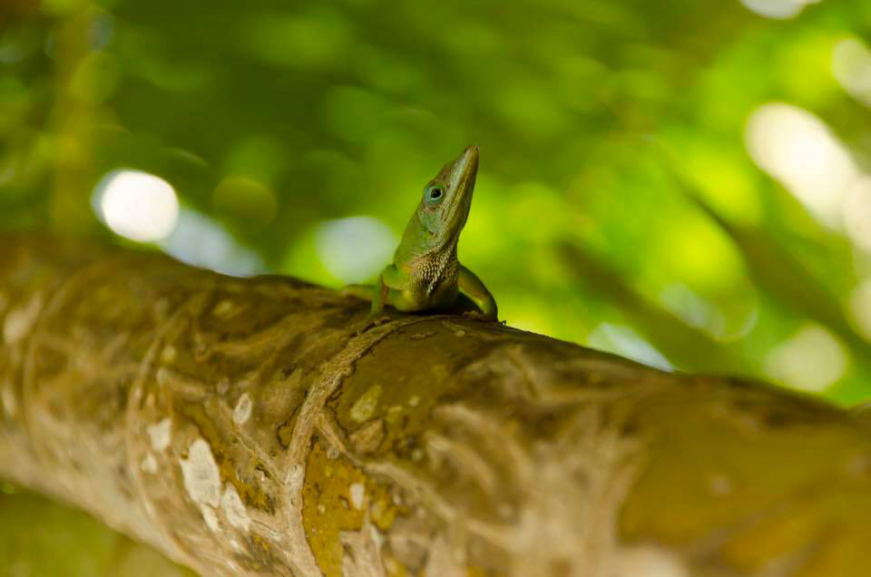 Photography by L Tyrrell