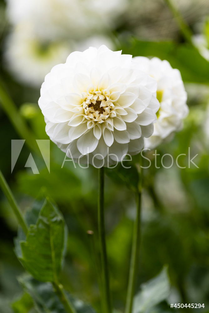 Photography by L Tyrrell