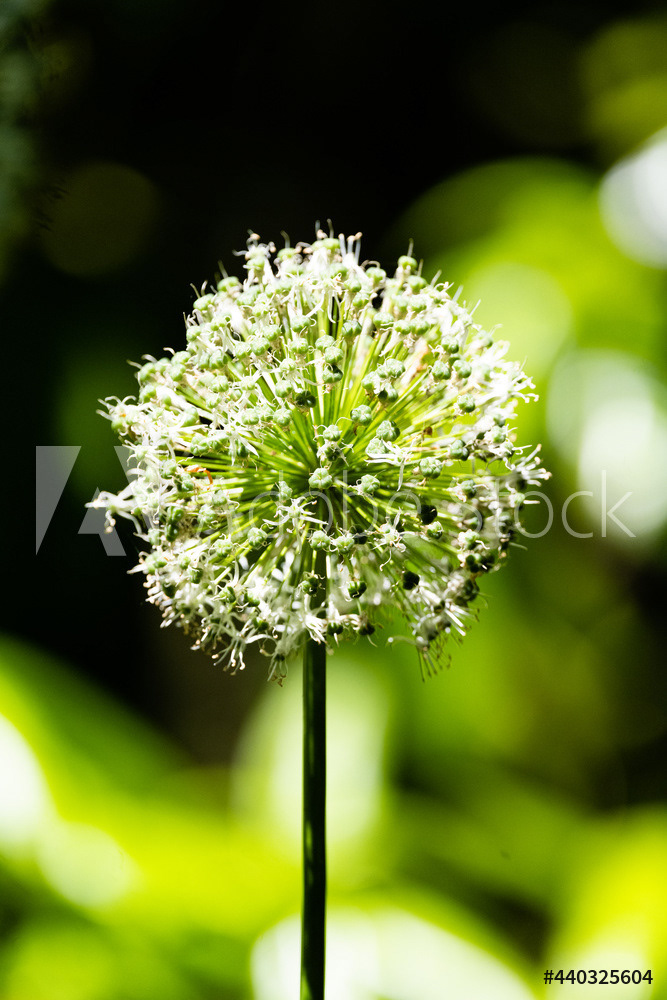 Photography by L Tyrrell