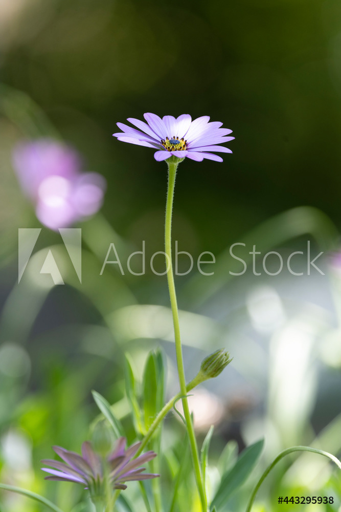 Photography by L Tyrrell