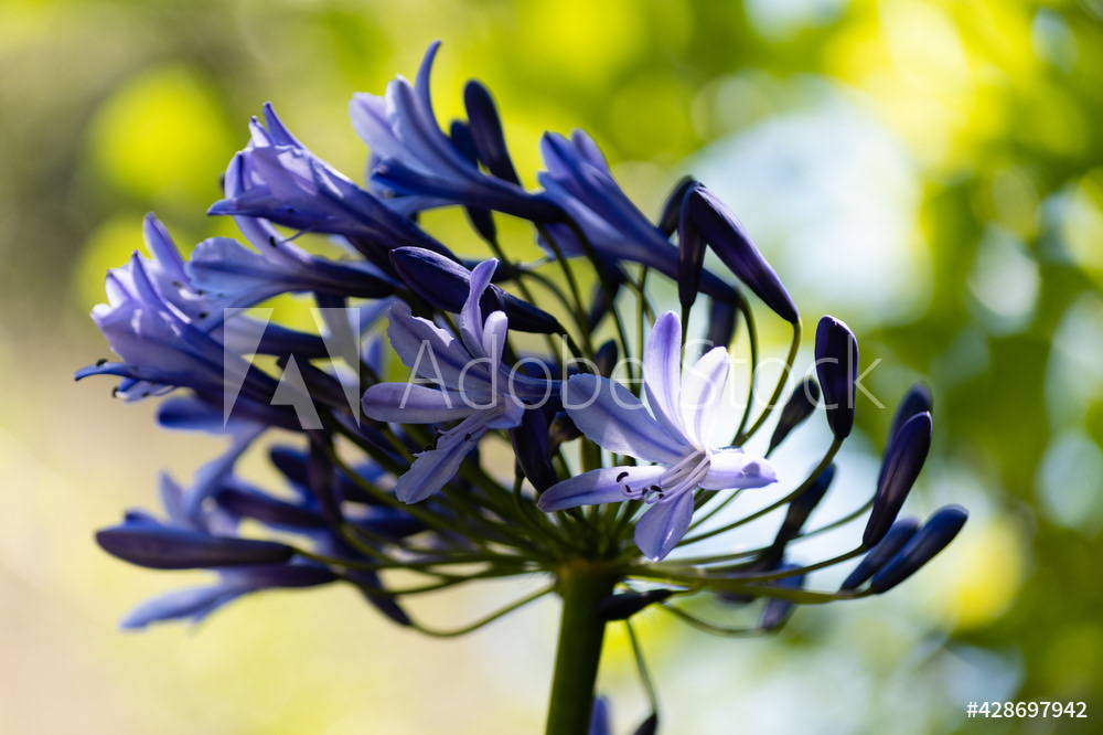 Photography by L Tyrrell