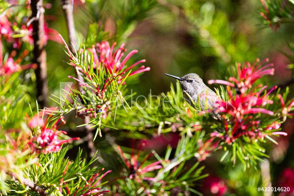 Photography by L Tyrrell