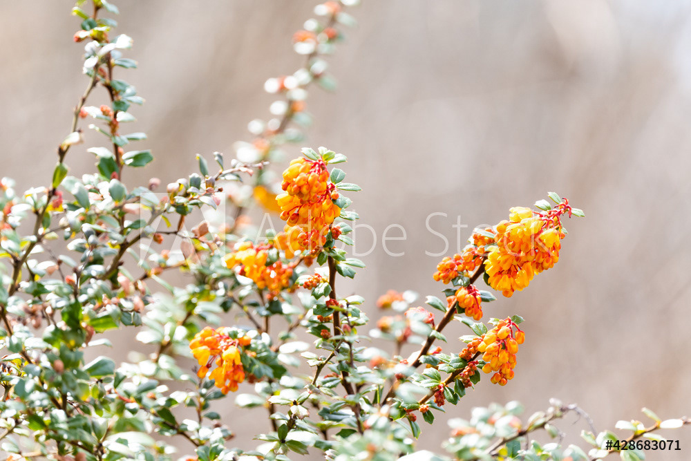 Photography by L Tyrrell