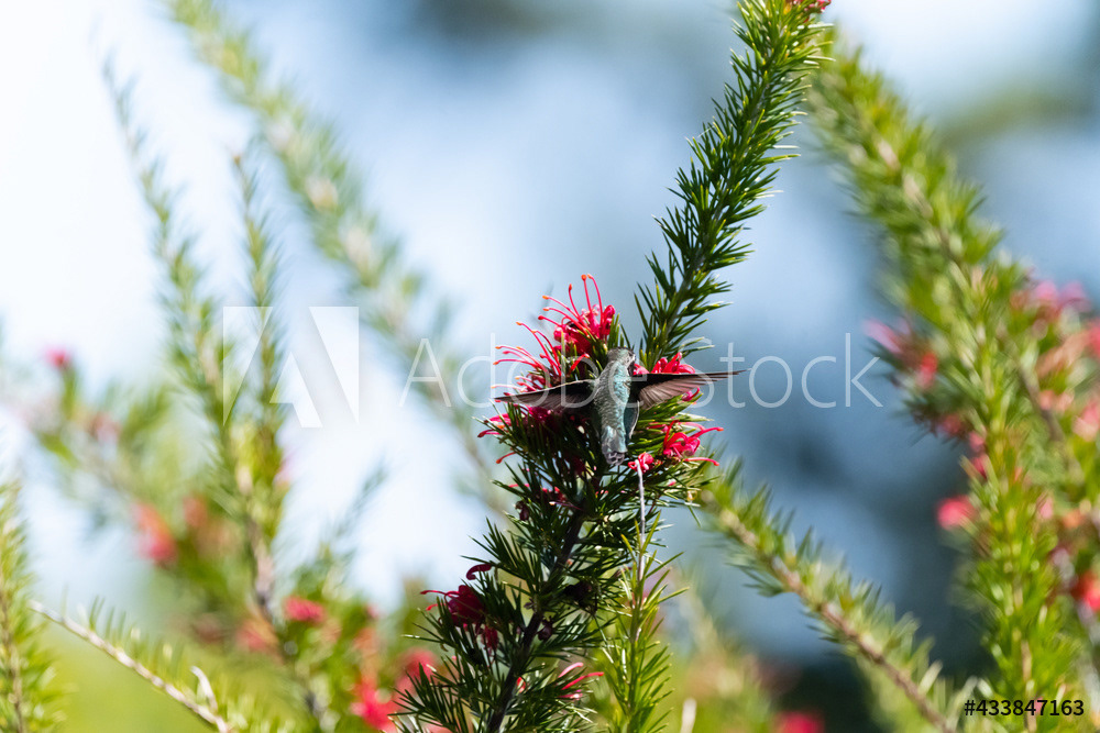 Photography by L Tyrrell