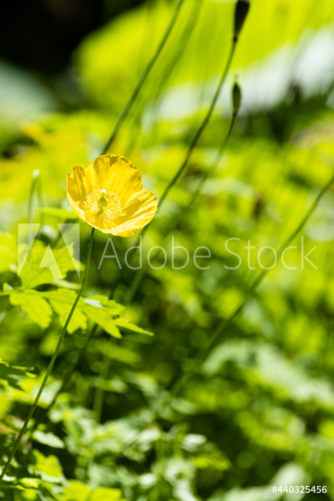 Photography by L Tyrrell