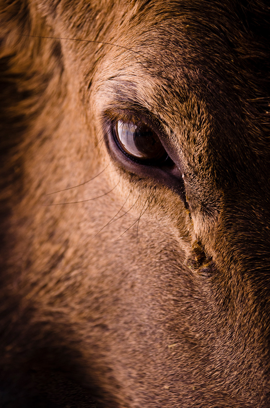 Photography by L Tyrrell