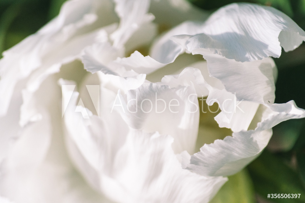 Photography by L Tyrrell