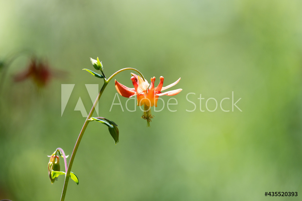 Photography by L Tyrrell