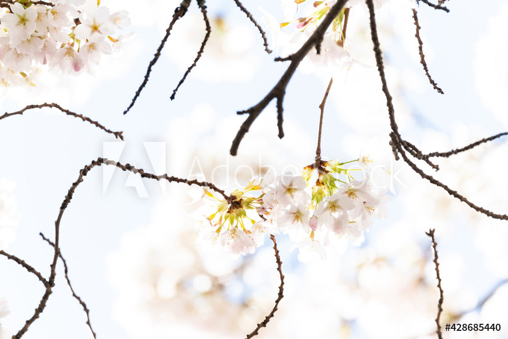 Photography by L Tyrrell