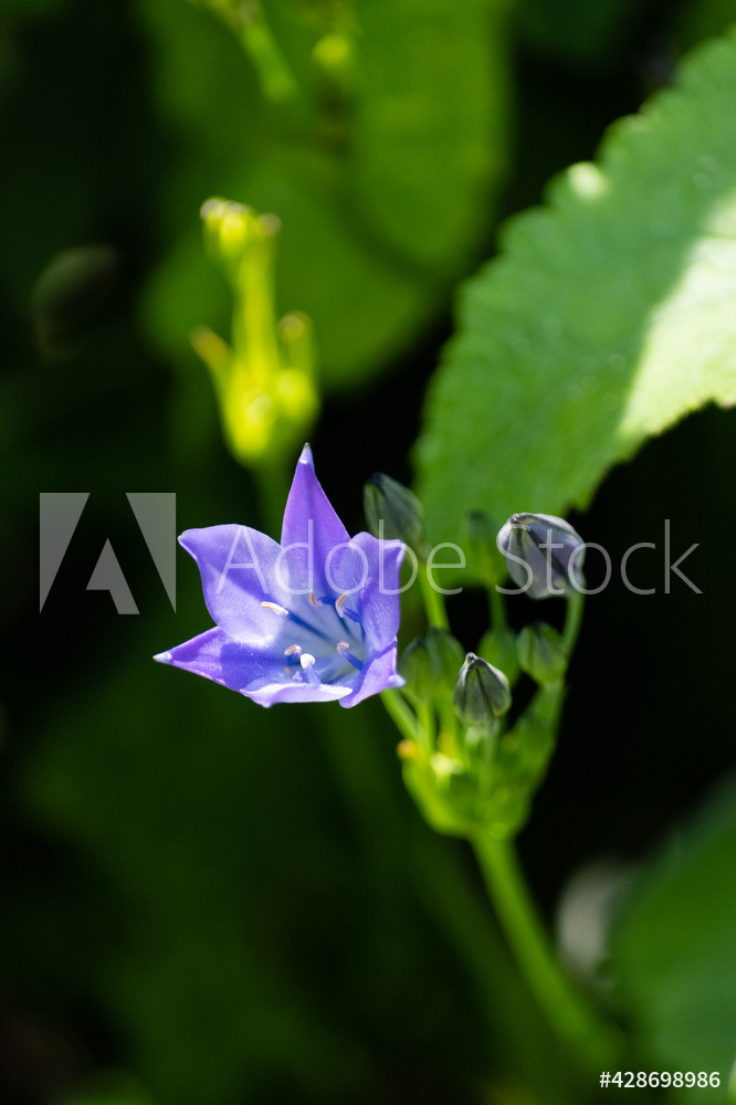 Photography by L Tyrrell