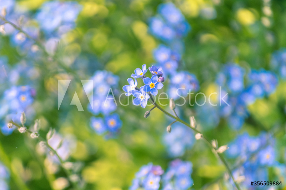 Photography by L Tyrrell