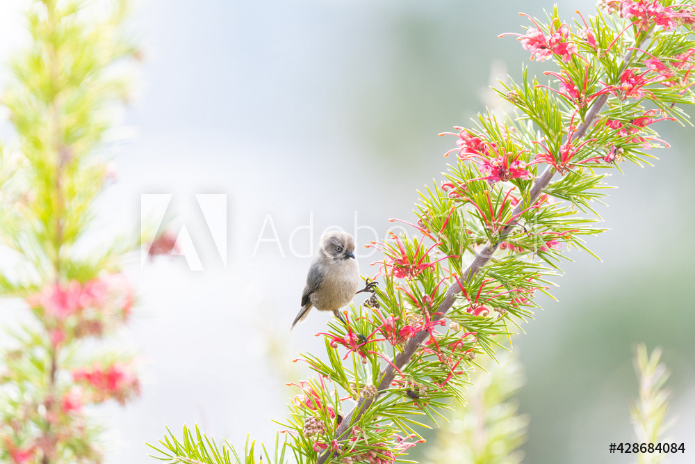 Photography by L Tyrrell